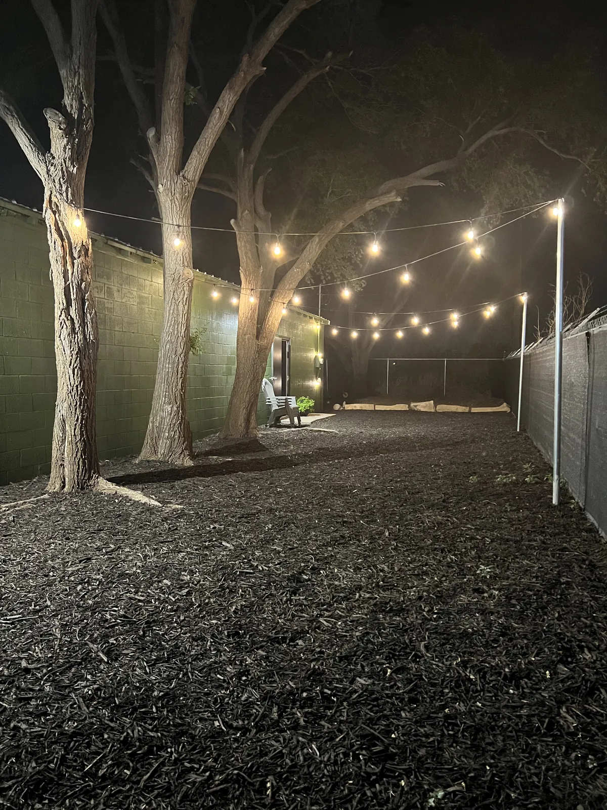 String lights strung between trees in the backyard at night